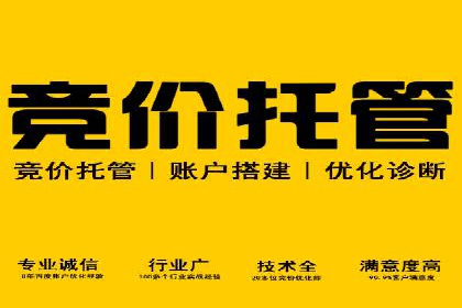 SEM推广代运营：成功案例解析与策略分享